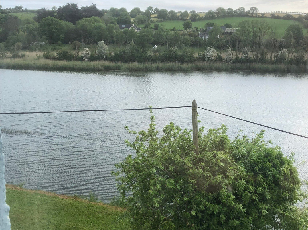 Riverbank House Bed and Breakfast Innishannon主图