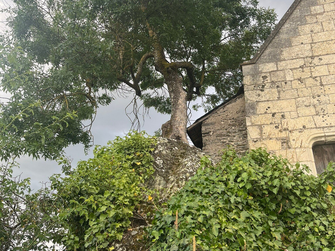 Eglise Notre Dame de Behuard景点图片