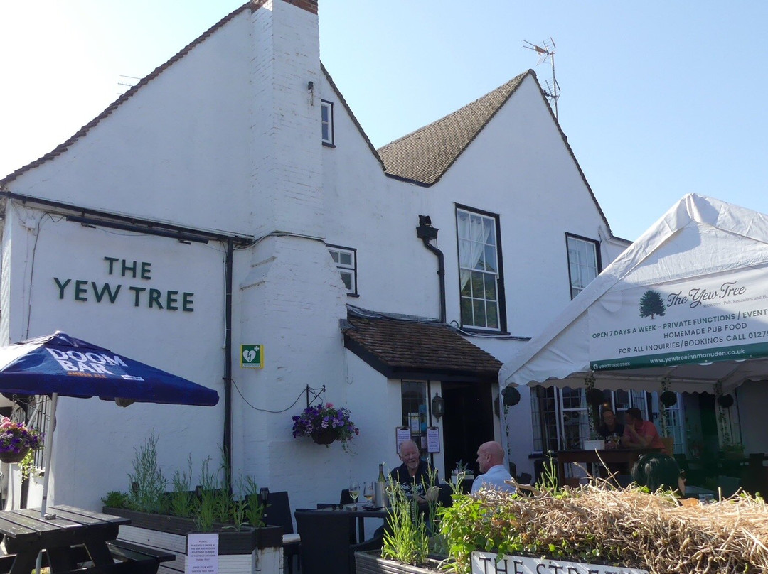 The Yew Tree主图