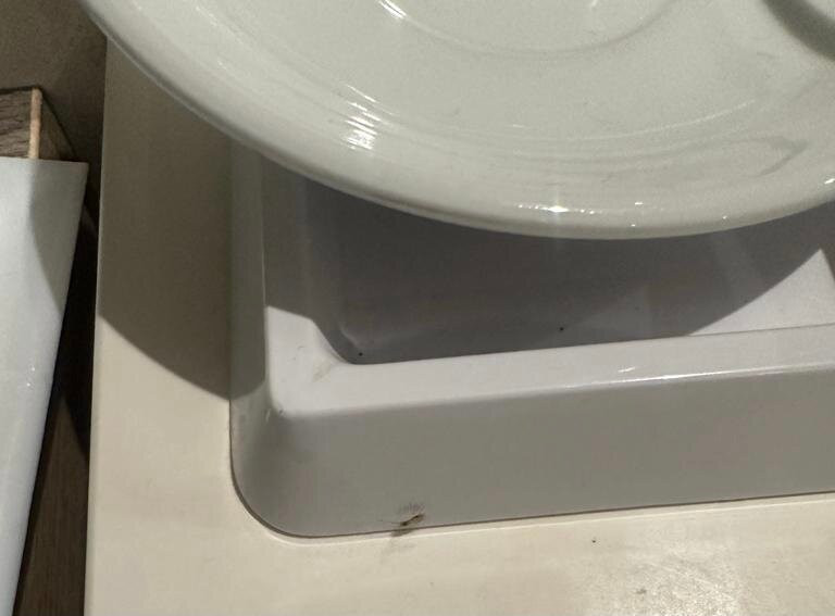 Garden Orchid Hotel主图