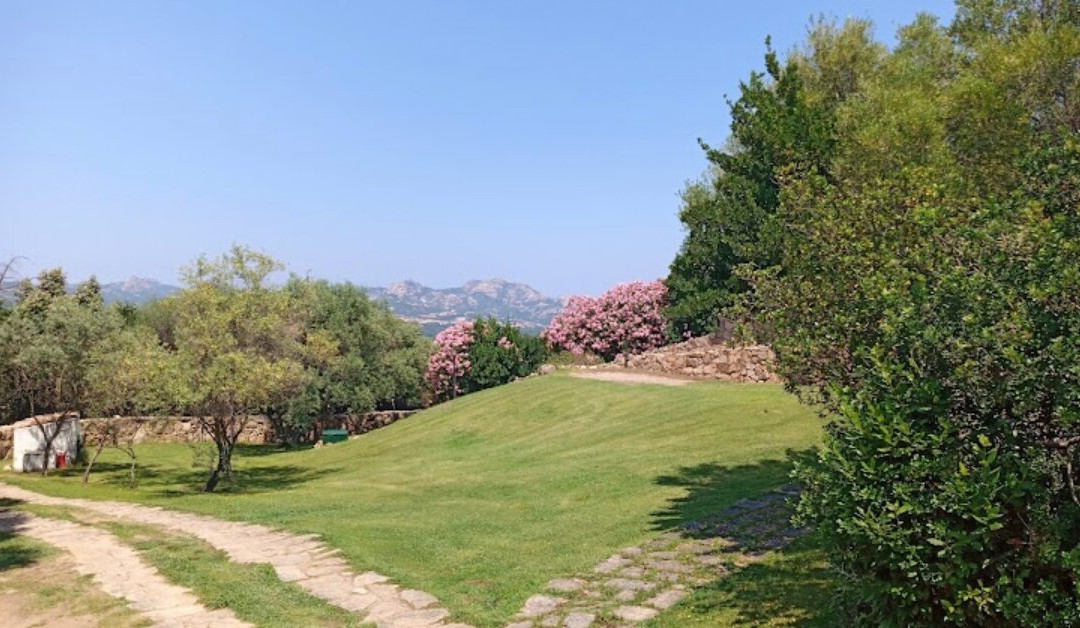 Sant'Antonio di Gallura餐馆和美食-Ristorante Braceria Pilagà