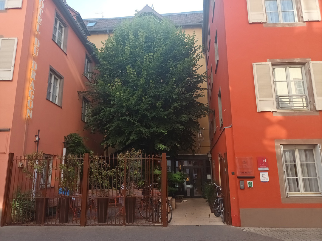 Hotel du Dragon主图