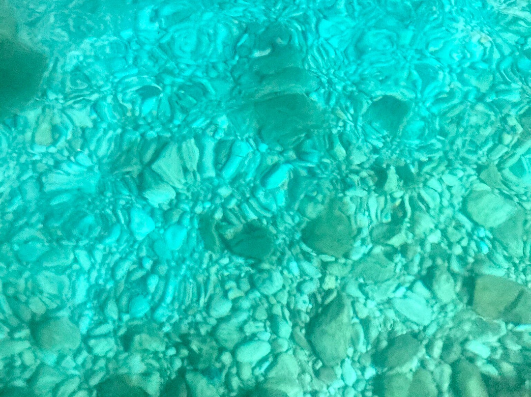 Blue Moon Escursioni-波利尼亚诺阿马雷必去景点