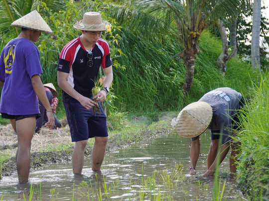 Bali Agritours-阿比安塞马尔必去景点