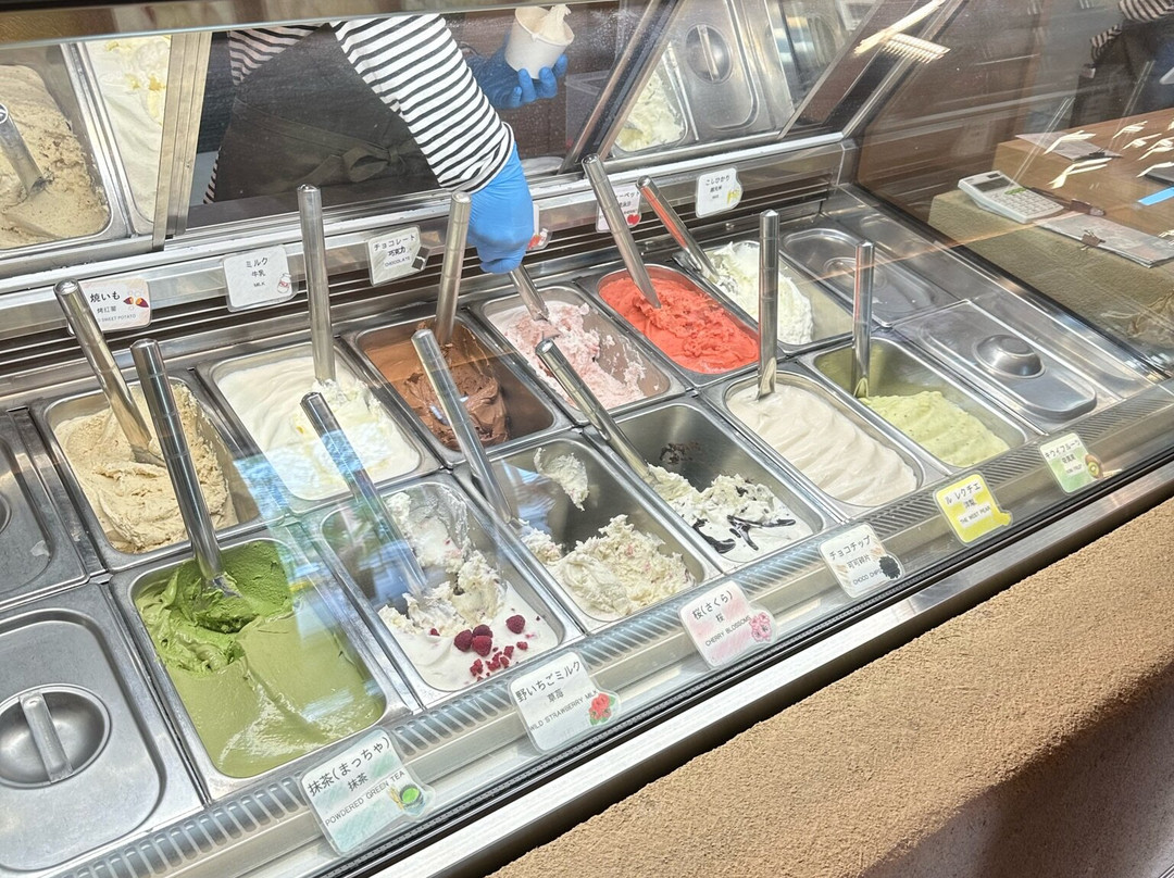 Fruit Gardem Shirone Grapes Garden-新泻市必去景点