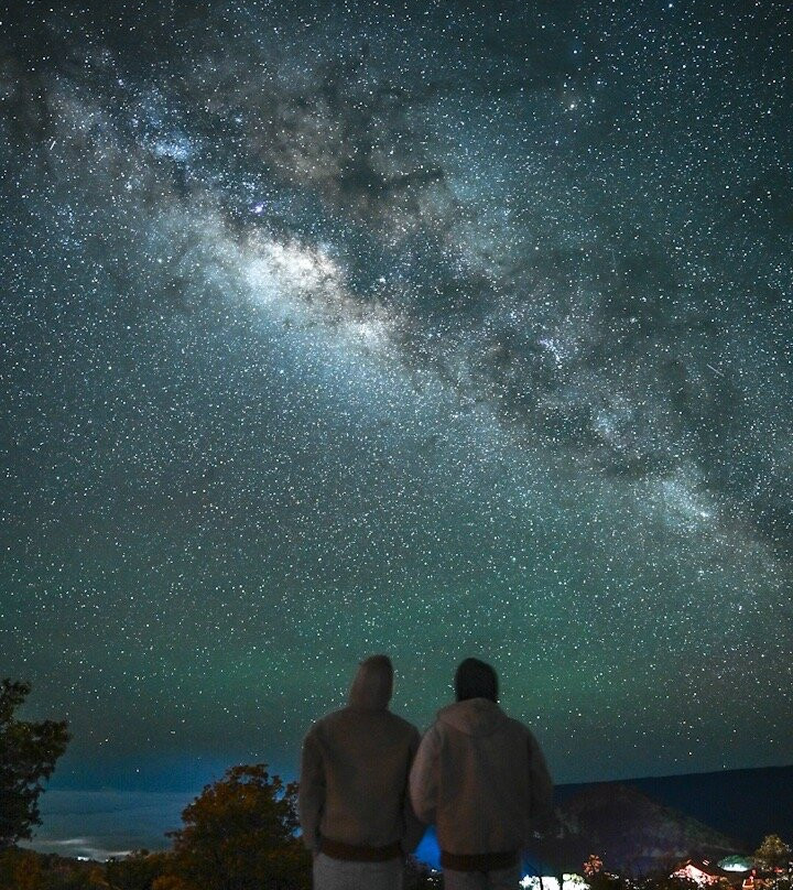 阿诺特之家主图