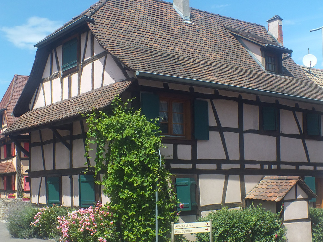 Centre Historique-Friesen必去景点