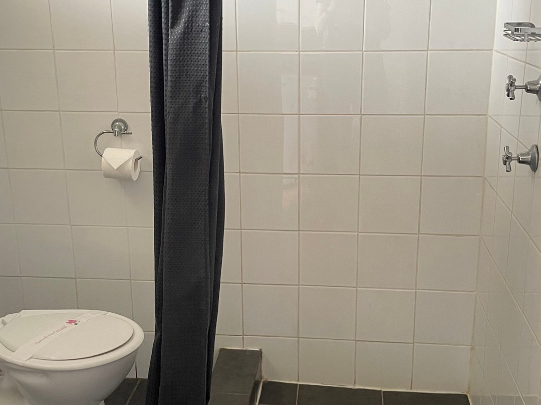 Isis Motel Scone主图