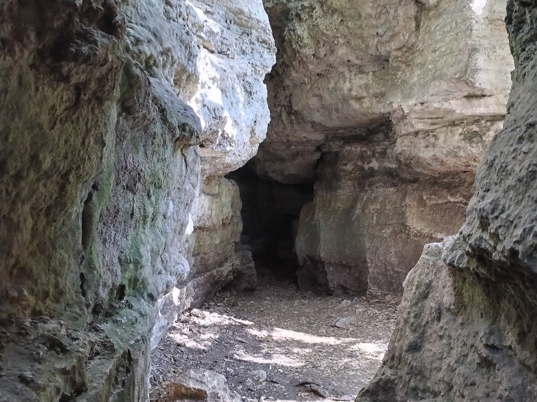 Paratge De les Estunes-Banyoles必去景点