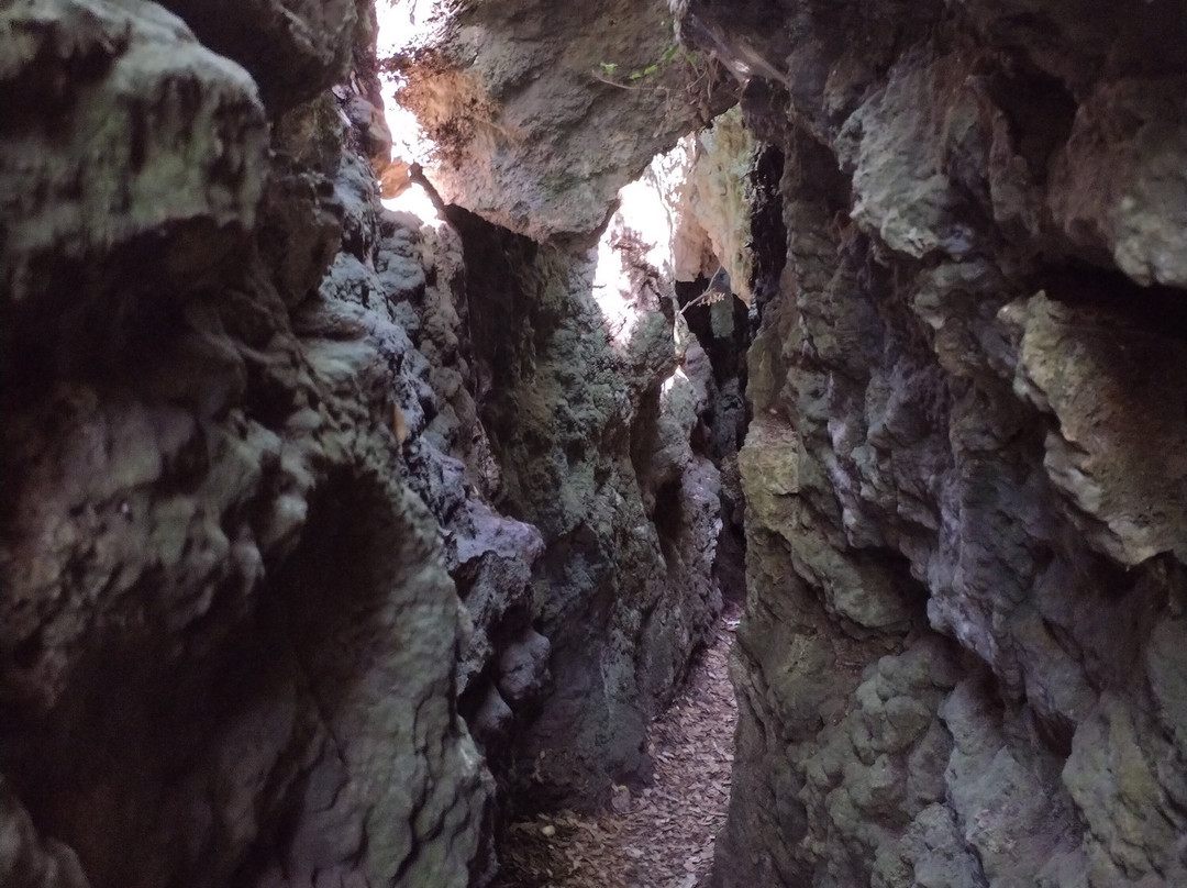 Paratge De les Estunes-Banyoles必去景点