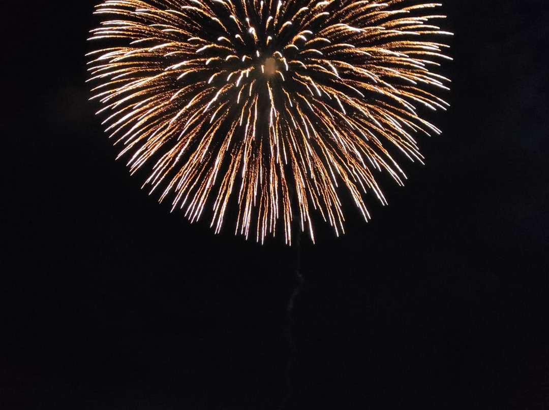 Yamanakako Fireworks Festival Hokosai景点图片