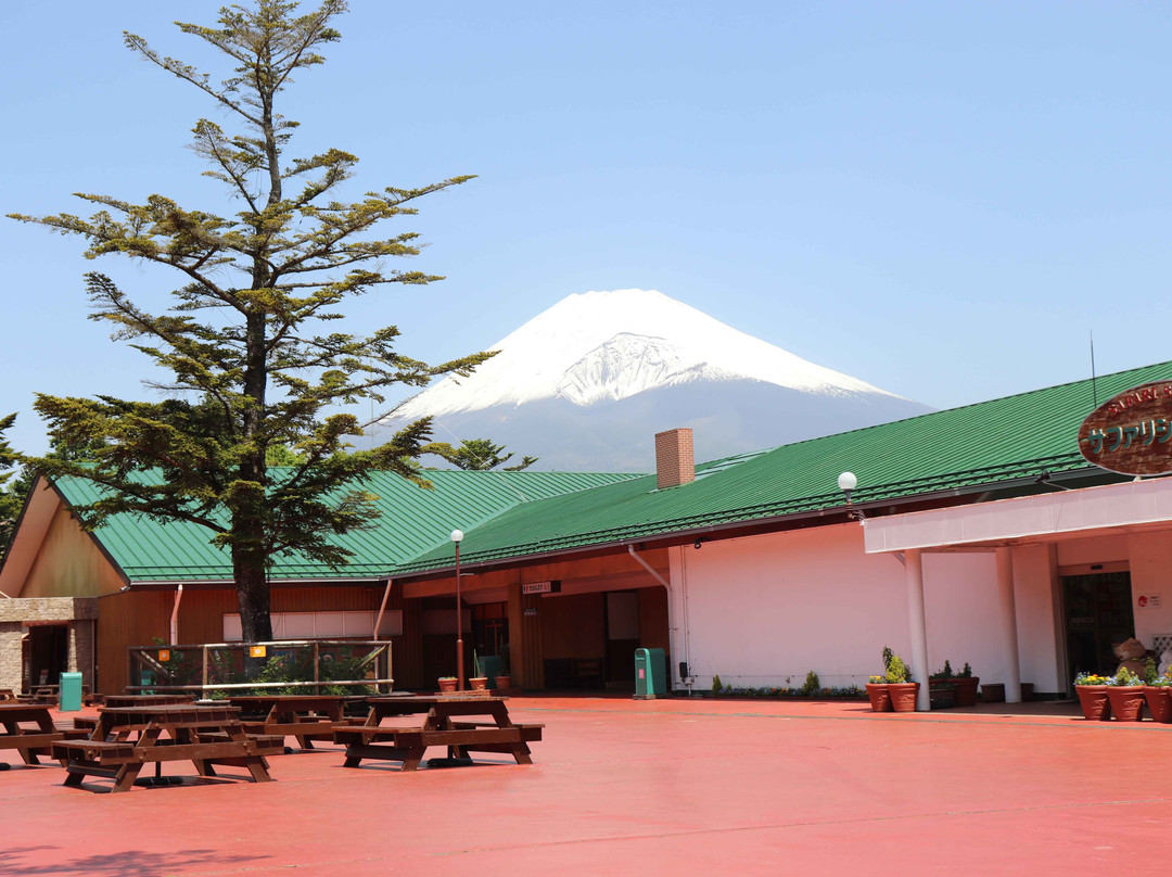 Fuji Safari Park景点图片