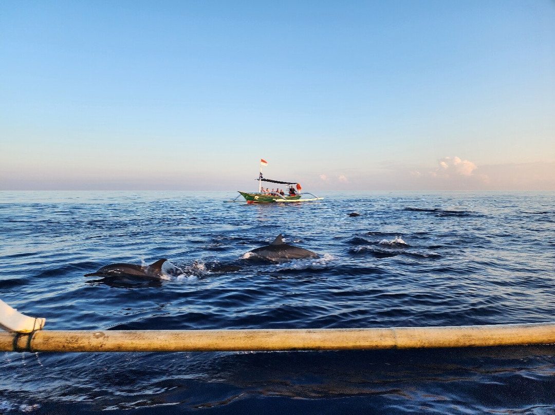 Dolphin Lovina Bali景点图片