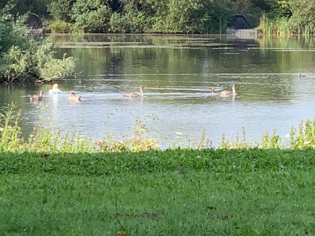Kingsbury Water Park景点图片