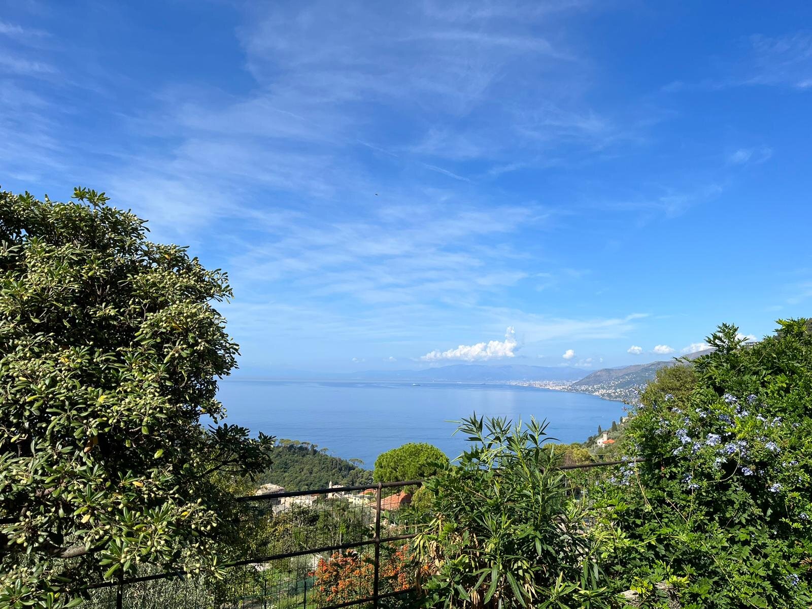 Villa Cielomare-官方
