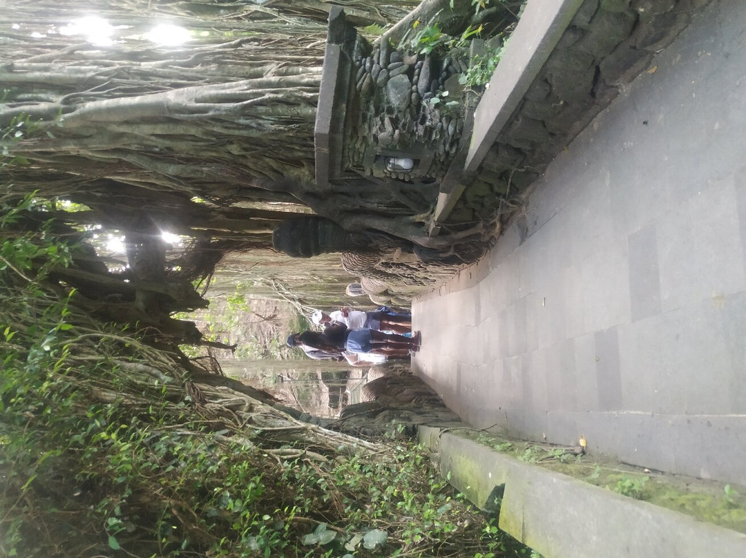 Bali Volcano Tours-登巴萨必去景点