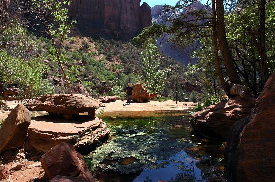 Emerald Pools-锡安国家公园必去景点