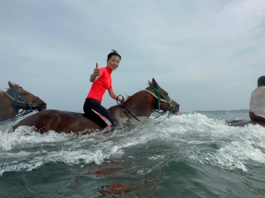 Horse Trekking Farm Miurakaigan-三浦市必去景点