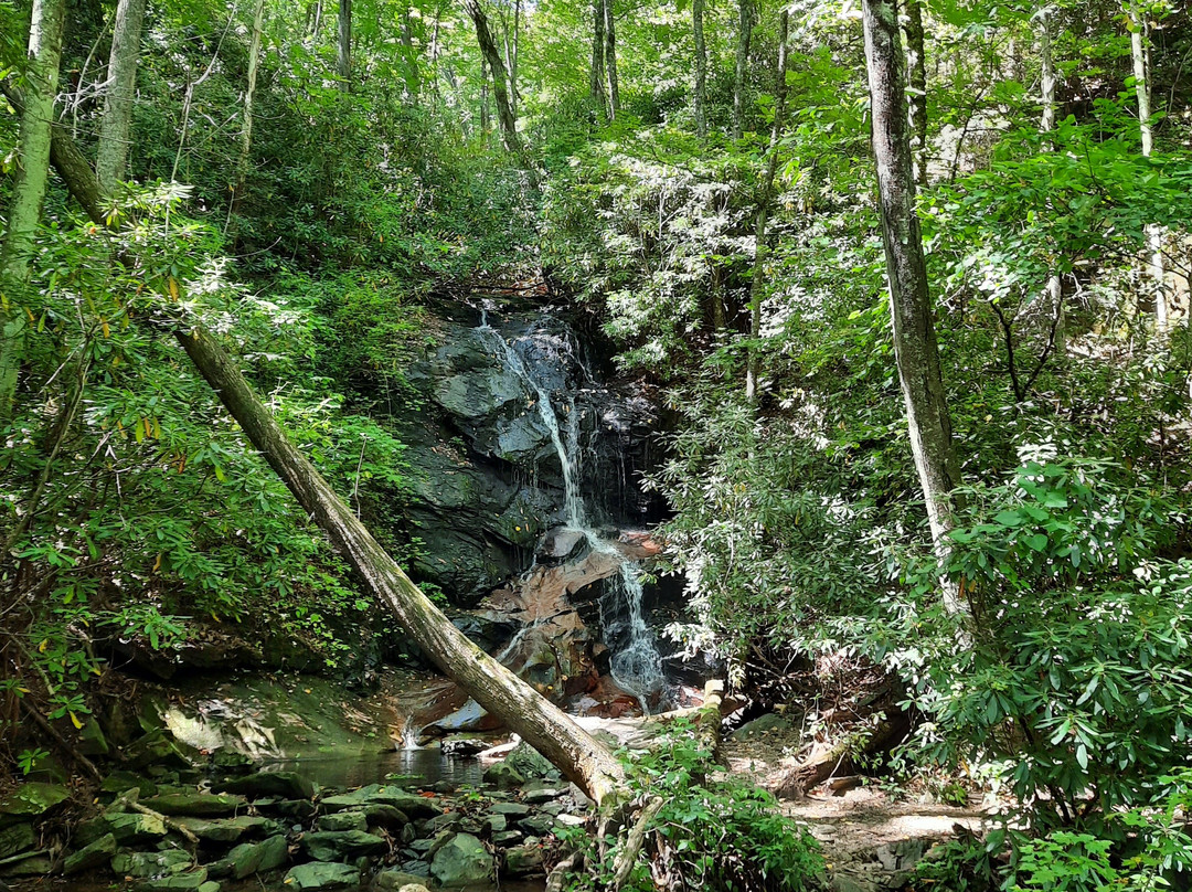 Asheville Hiking Tours-阿什维尔必去景点