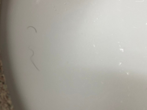 伊丽莎白城伊克诺旅馆