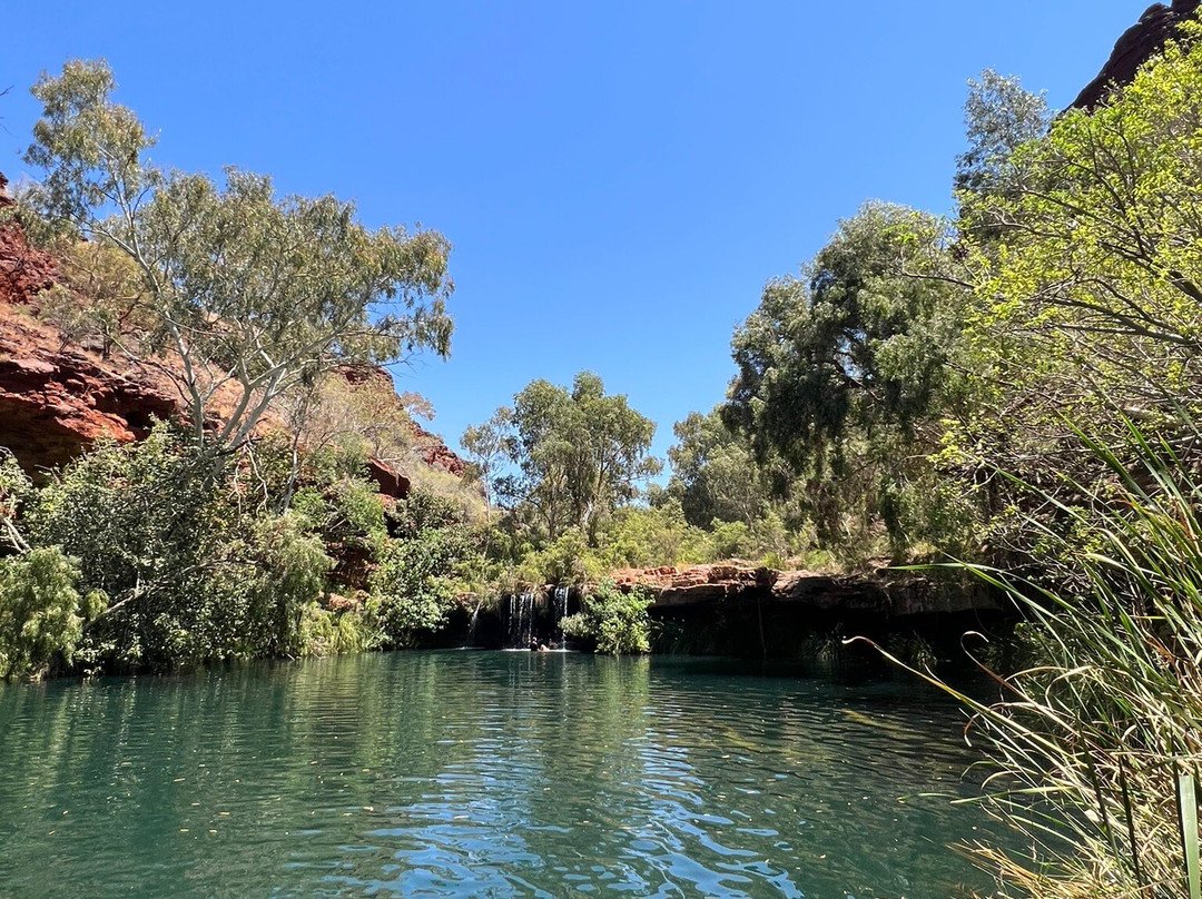 Why Not Bus-珀斯必去景点