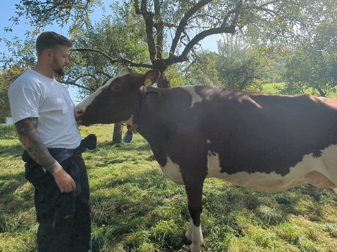 Hug & Mooh-Petit-Va必去景点