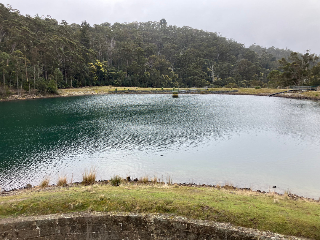 Waterworks Reserve景点图片
