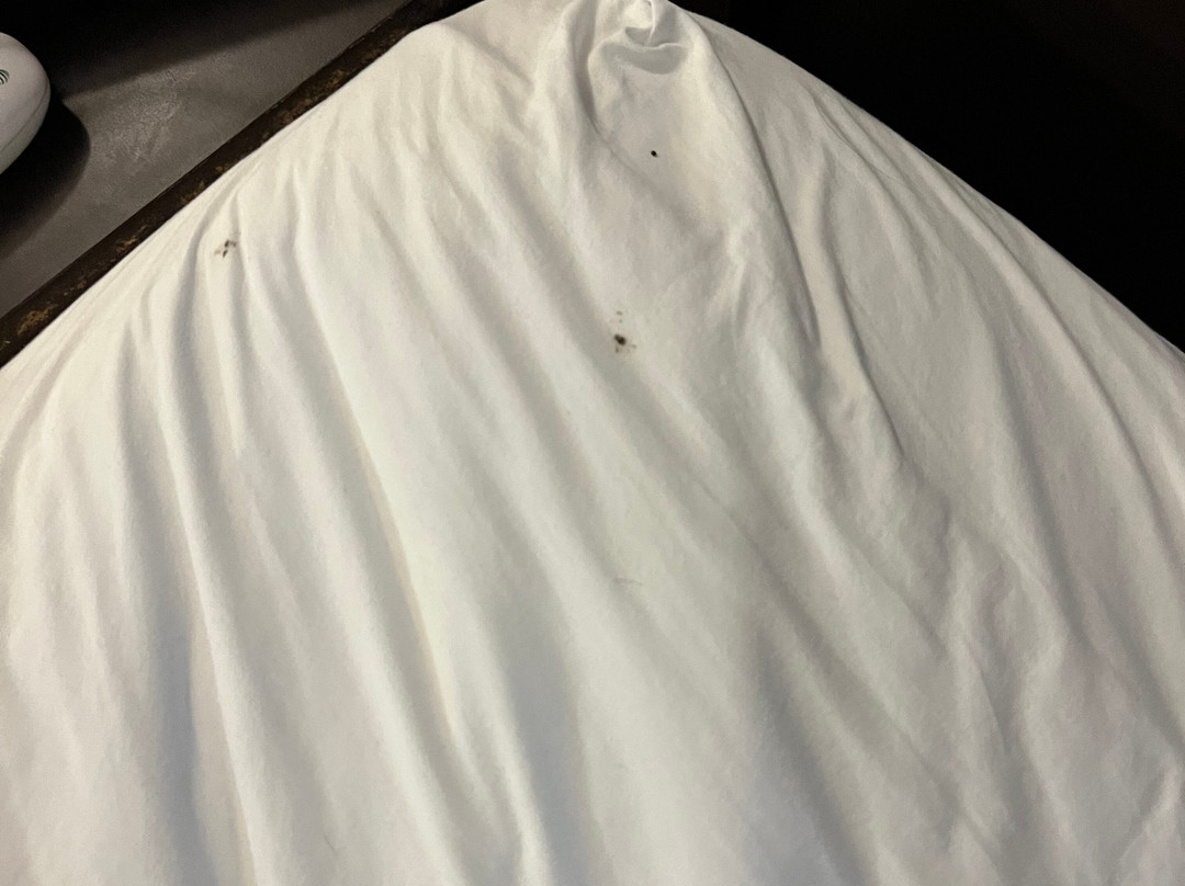 Red Roof Inn Starkville - University主图