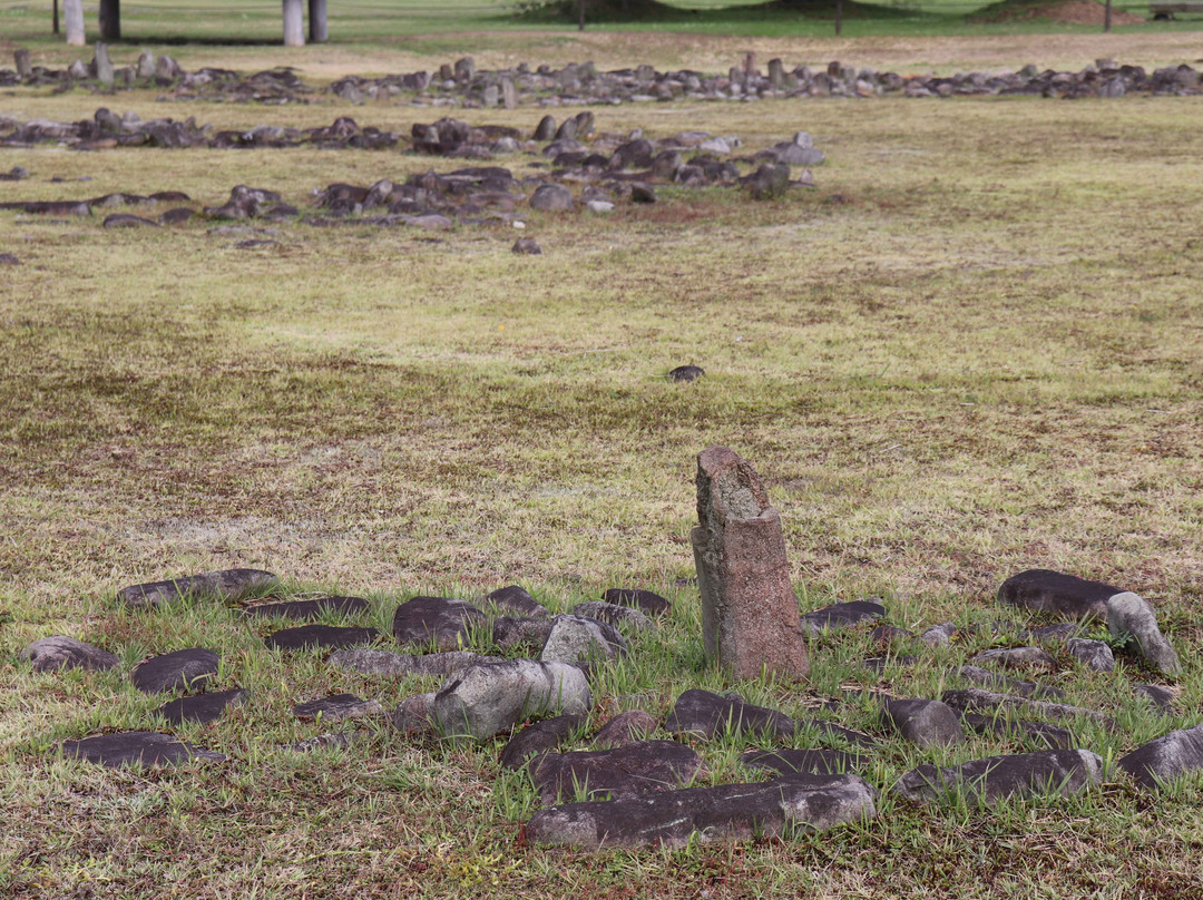 Oyu Stone Circle景点图片