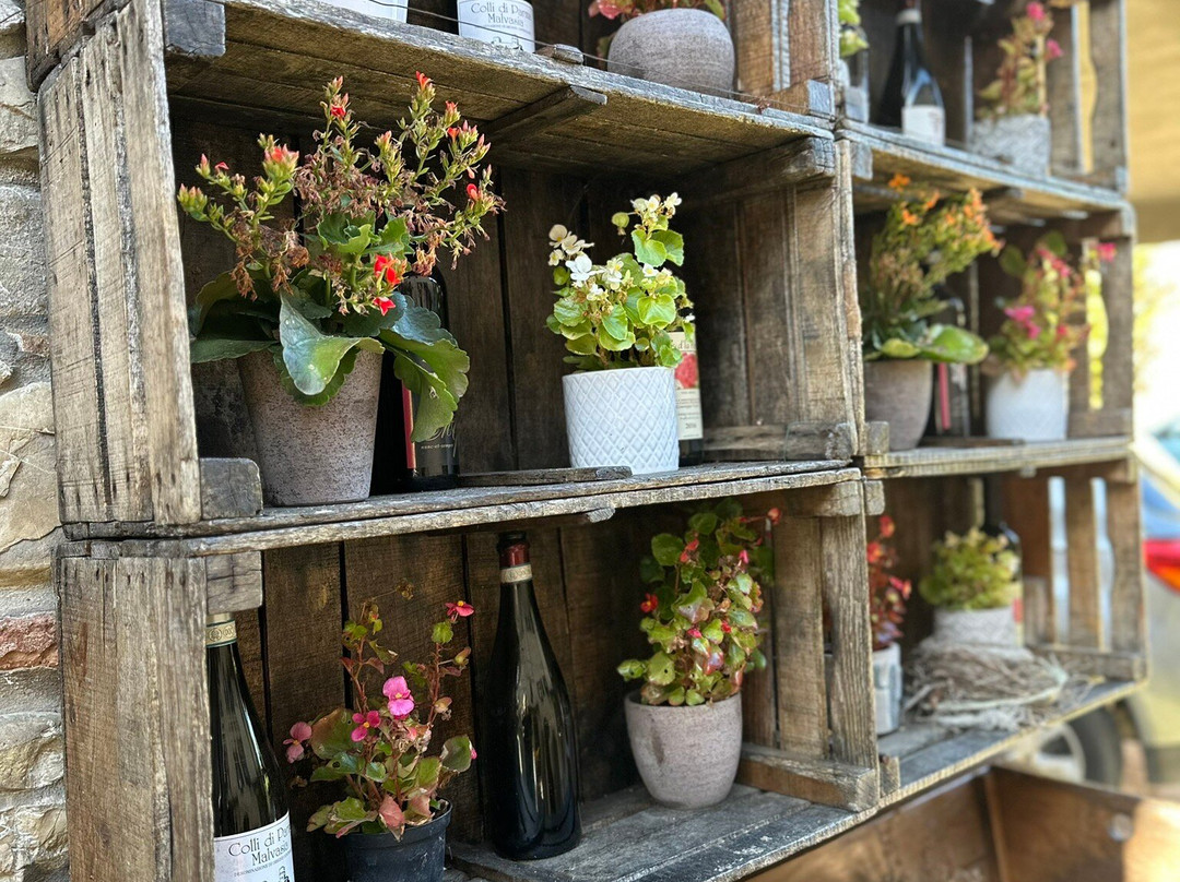 Cantina del Borgo景点图片