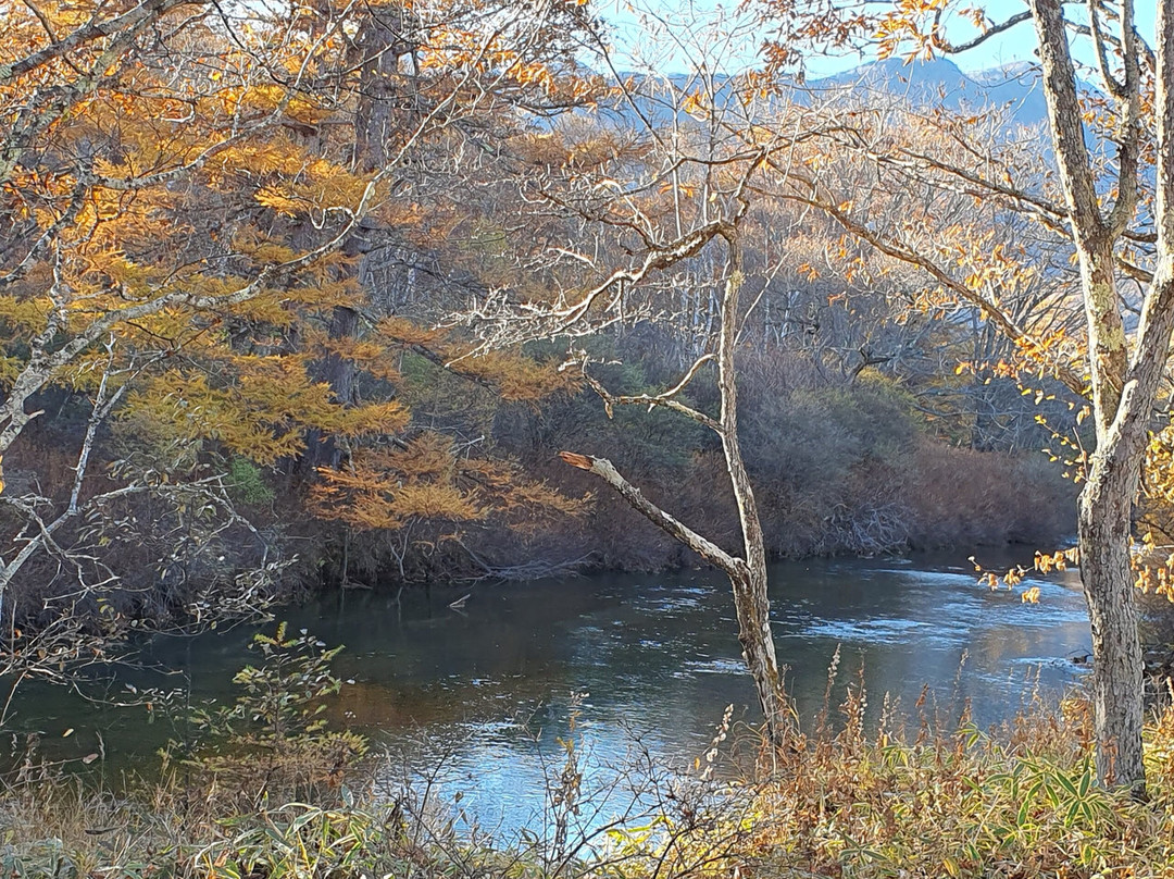 Senjogahara Field-日光市必去景点