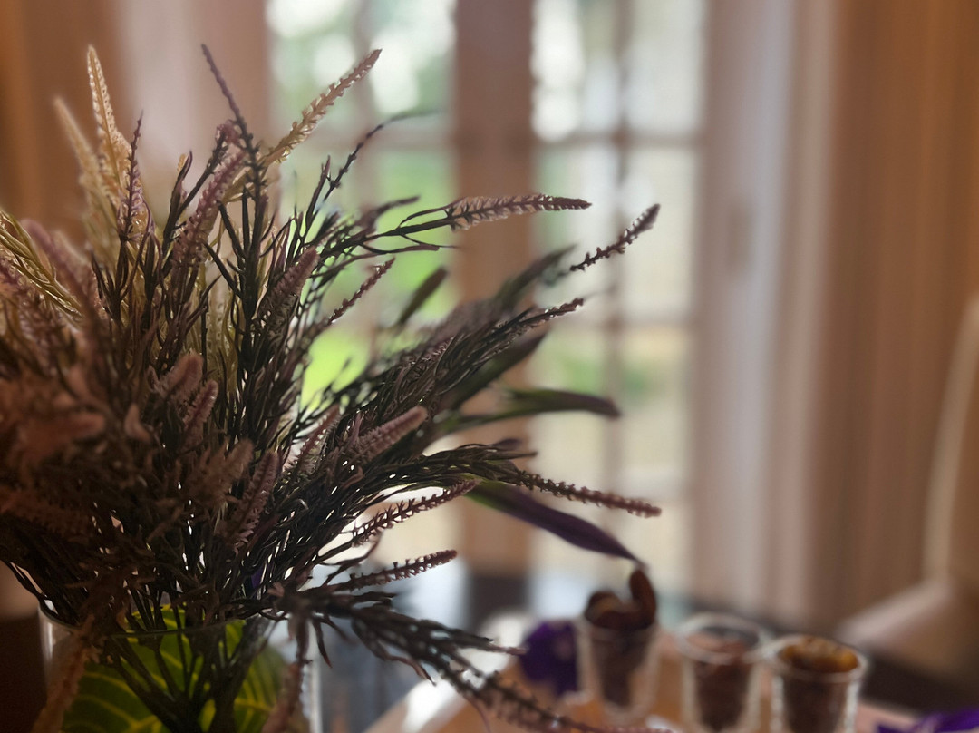 The Lavender House By Reveal主图