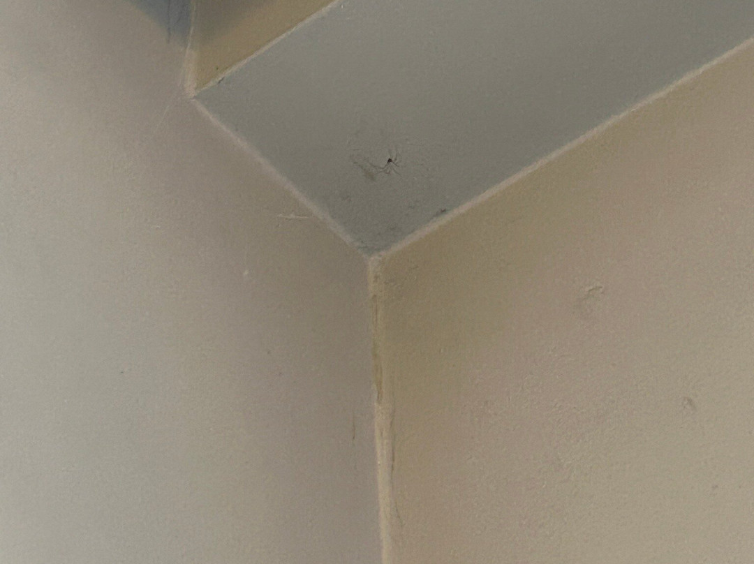 Essence Living Exclusive主图