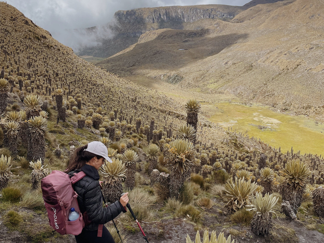 Paramo Trek Salento景点图片