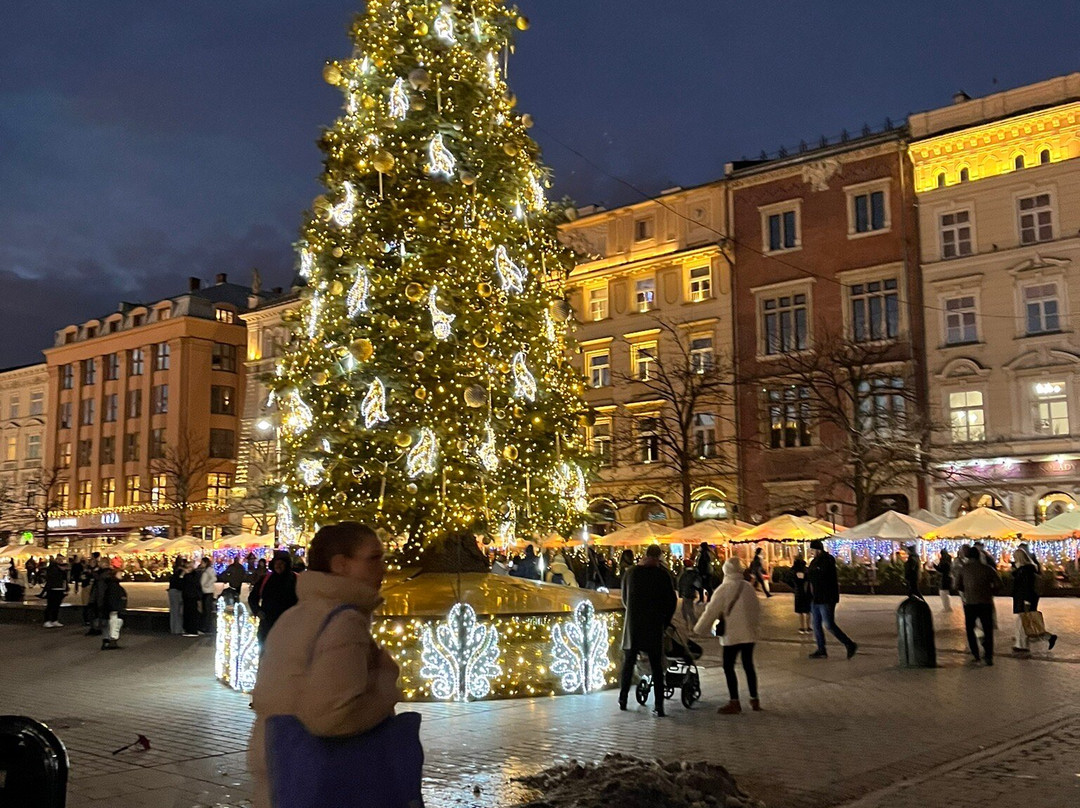 My Krakow Driver-克拉科夫必去景点
