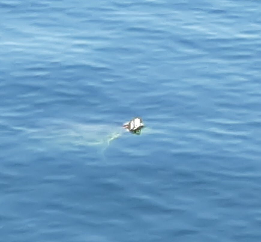 Jane Askew Memorial Park-Maricopa必去景点