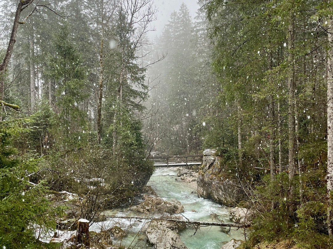 Zauberwald am Hintersee-拉姆绍必去景点