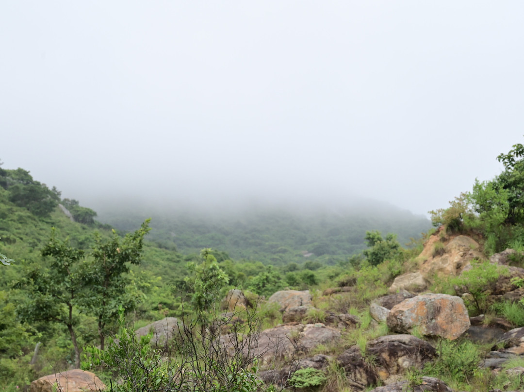 Rac (rangadhama Adventure Club )景点图片