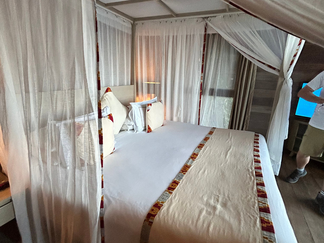 桑给巴尔美利亚酒店主图