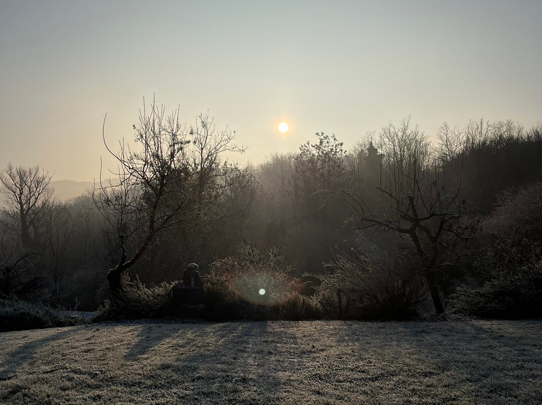 Il Sambuco Innamorato主图