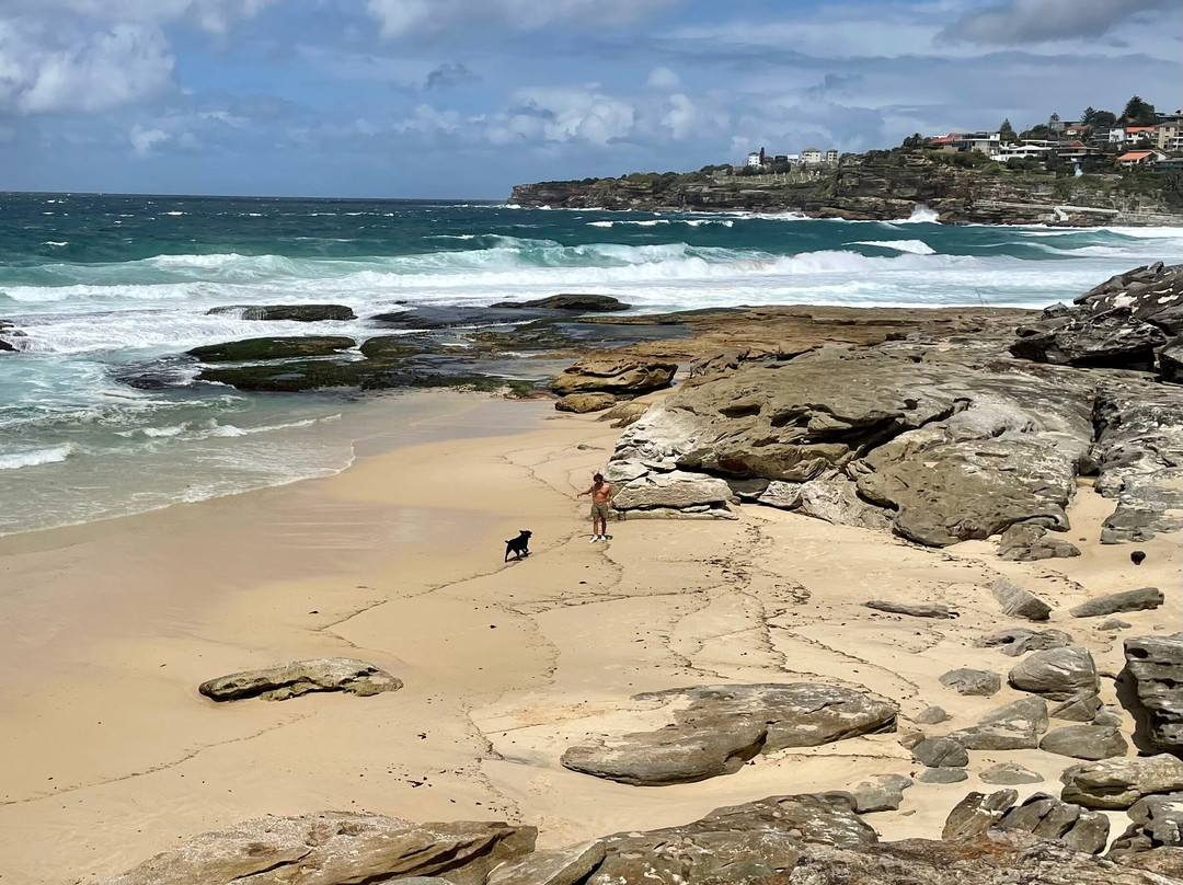 Mackenzies Bay-Tamarama必去景点