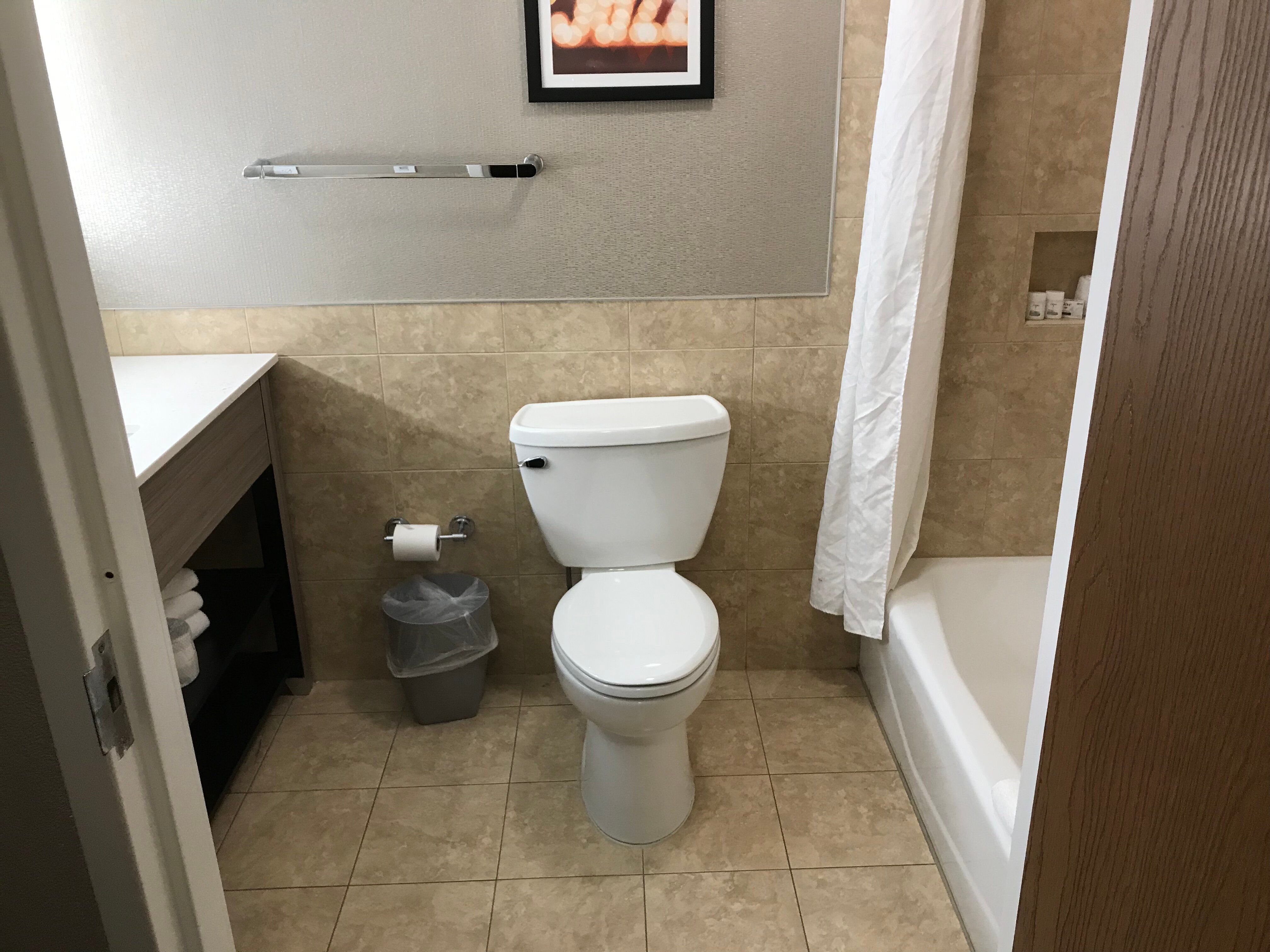 Holiday Inn Baton Rouge College Drive I-10, an IHG hotel-浴室