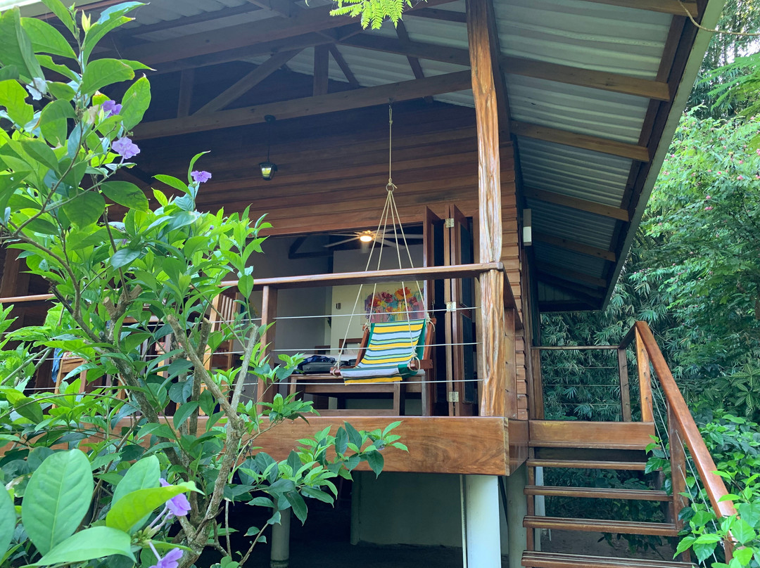 The Hummingbird主图