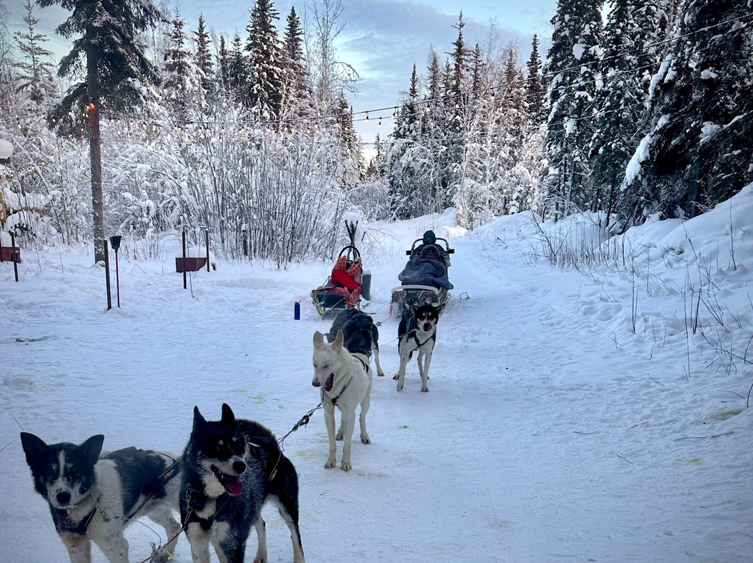 Trail Breaker Kennel-费尔班克斯必去景点