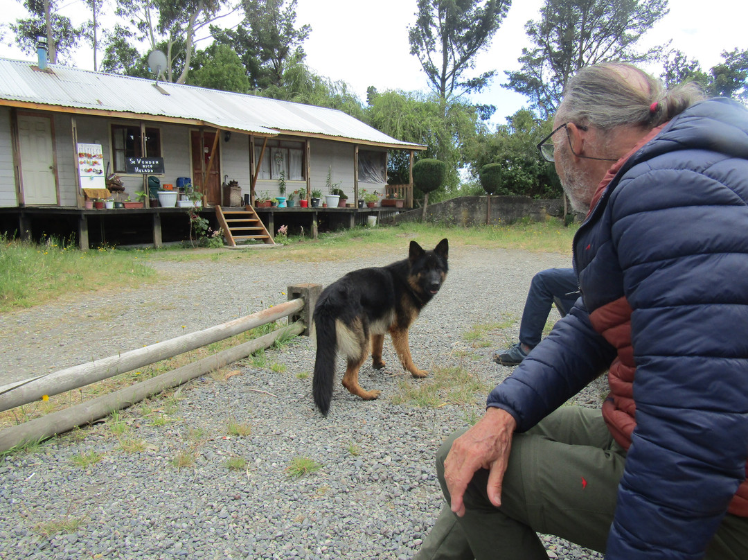 Isla Loreley-巴拉斯港必去景点
