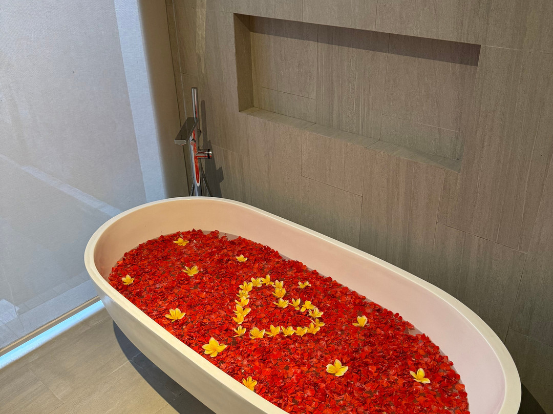 塞纳伊可Spa别墅主图