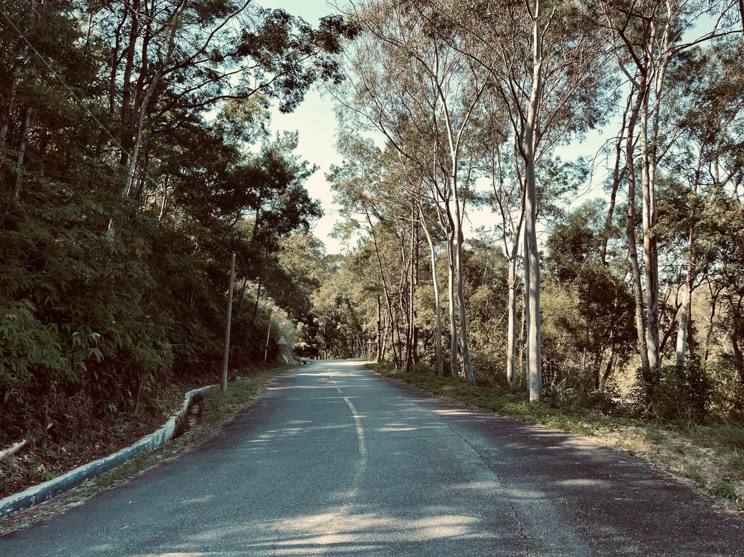 玉湖风景区-高州市必去景点