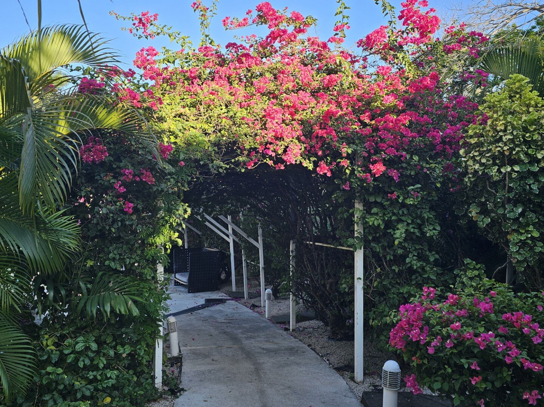 阿波罗大酒店主图