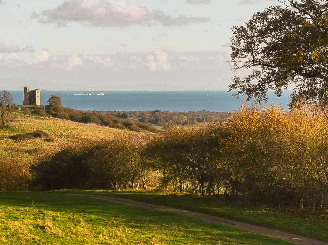 Hadleigh Castle景点图片