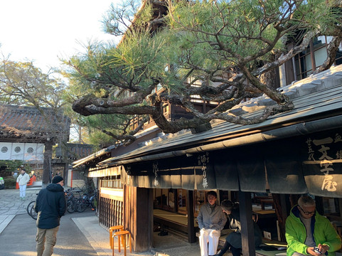 Noru-京都市必去景点